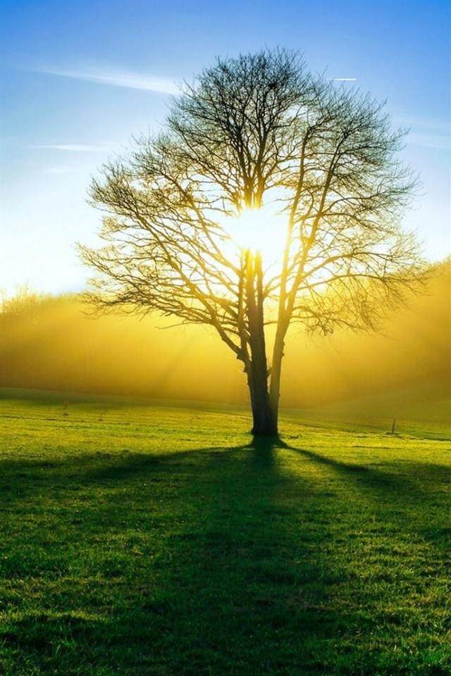 唯美意境大家可以关注我的抖音号20160717hd