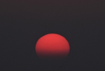 43126