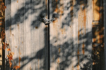 5B050D21-1E71-467D-8BF1-46CA4A6D325F/L0/001