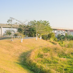 2506108
