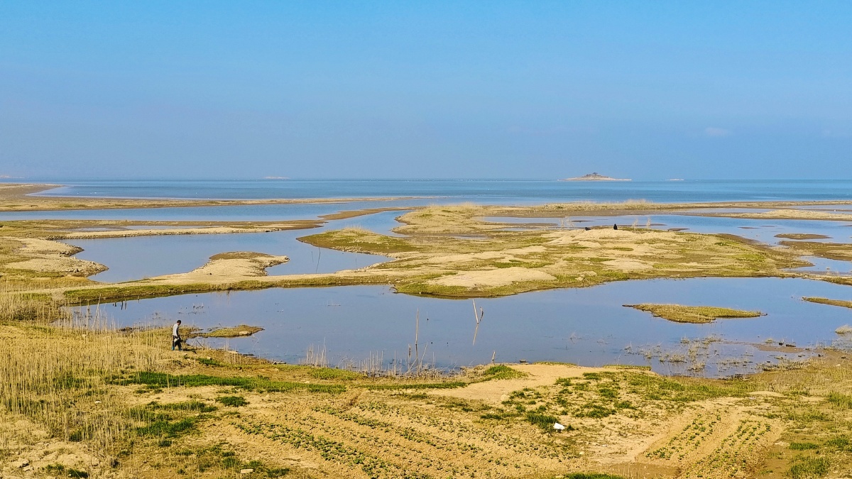 南京溧水石臼湖滩涂手机摄影