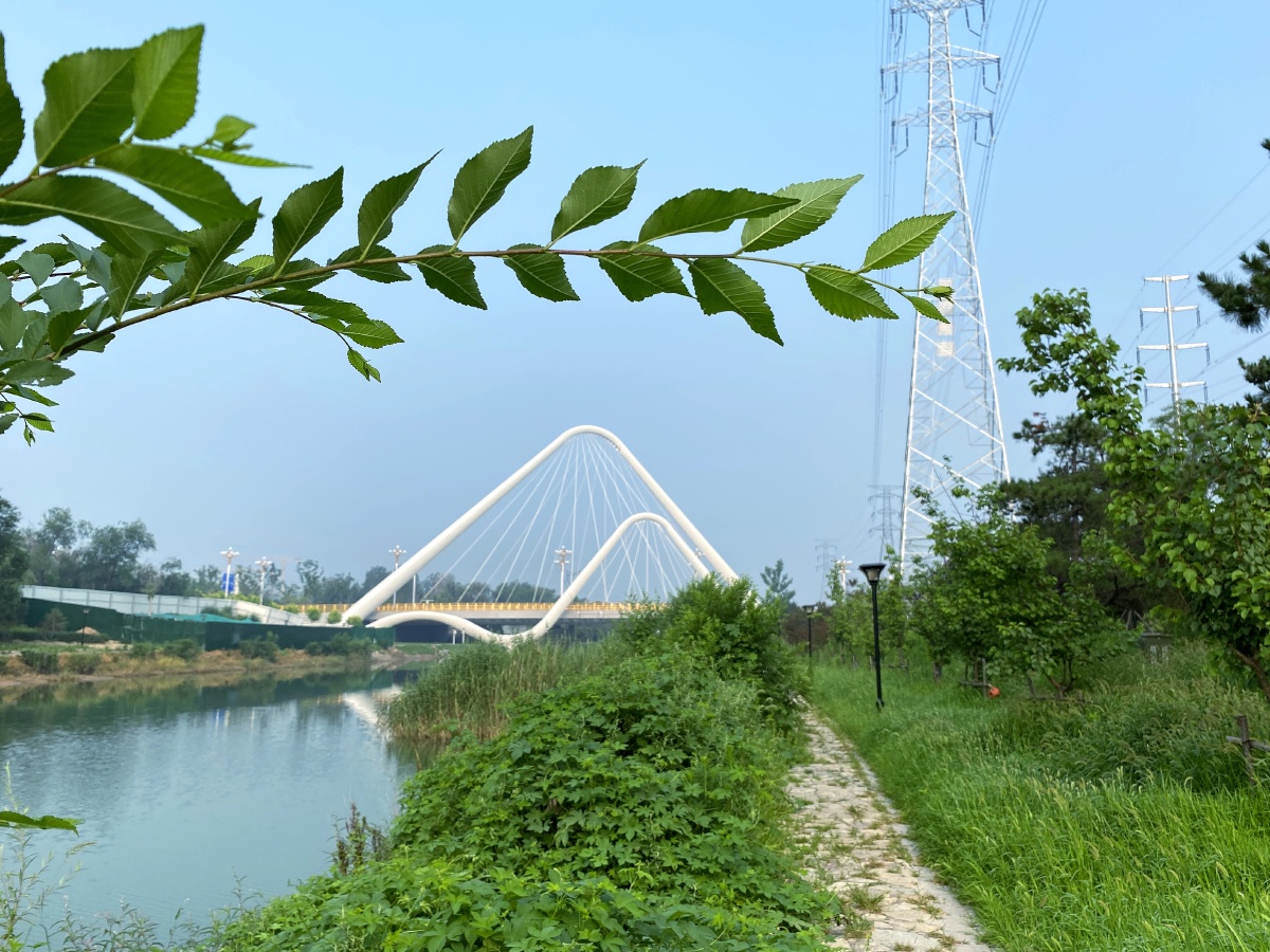 唐山南湖大道上的斜拉桥 - 易和缘 - 图虫