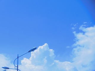 1555962