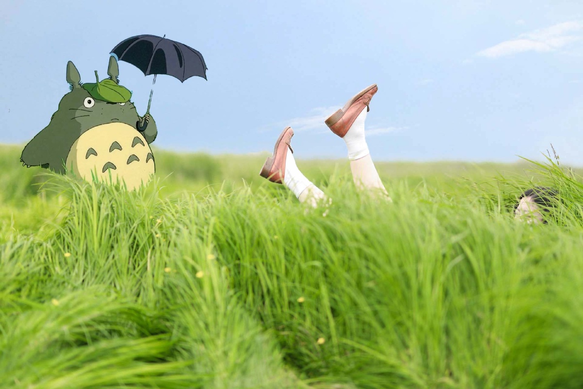 龙猫草原一脚摔进宫崎骏的动漫世界