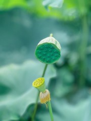 17C7BD44-07E7-45F1-B850-30A46C2476D3/L0/001