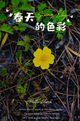 6241A435-8576-402B-AE2C-11EBF72D8309/L0/001