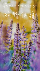 4253B1E8-5AF5-4340-B252-7AF5F9DA6D2D/L0/001