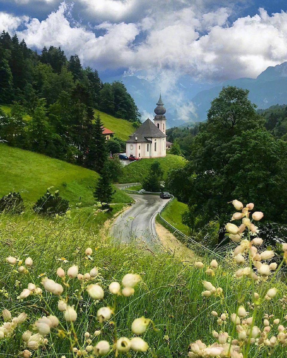 美好柔和的绿色 - 最美风景1 - 图虫