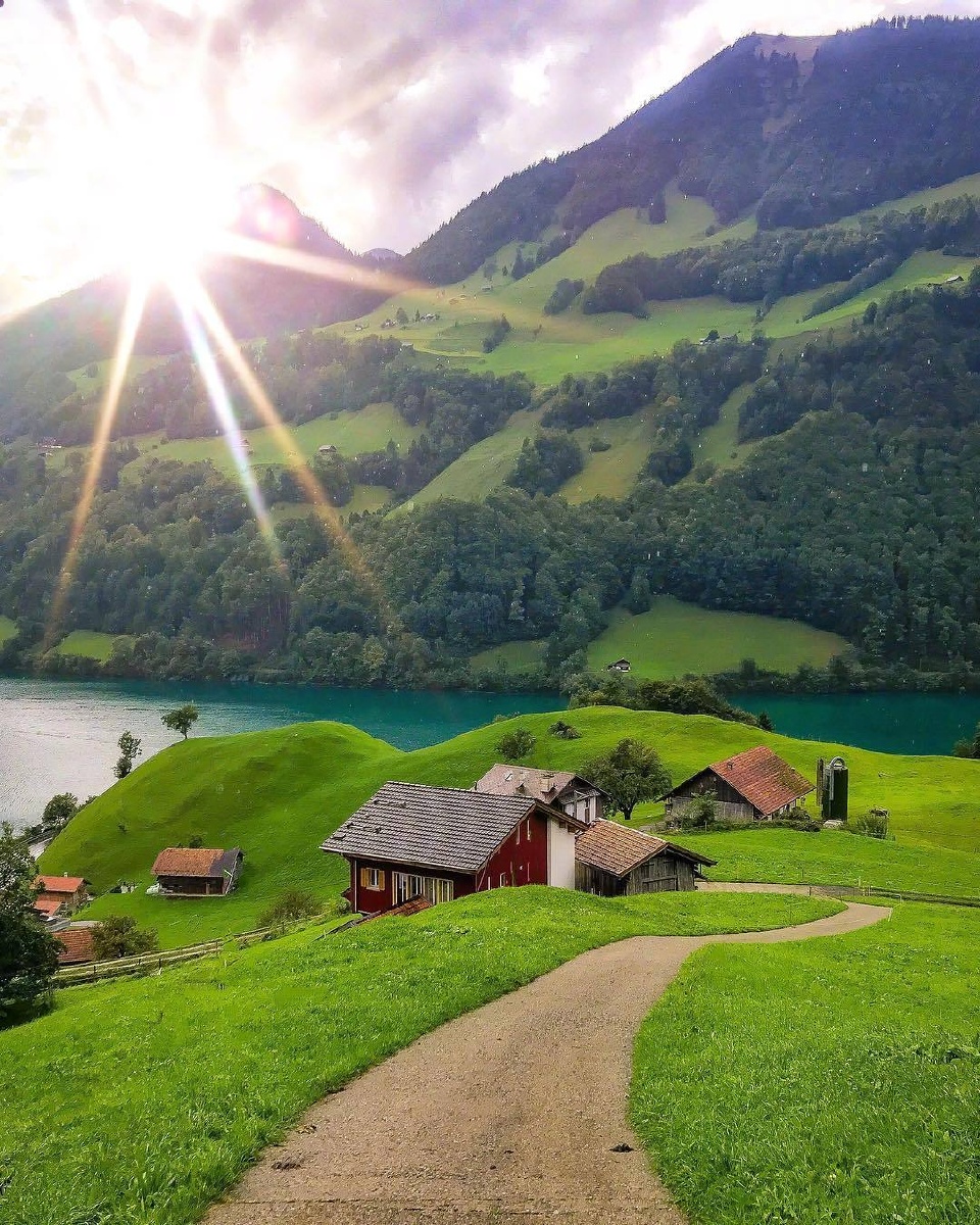 美好柔和的绿色 - 最美风景1 - 图虫