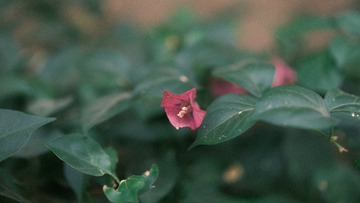 1986FBD3-E785-4473-82FC-D429052E087F/L0/001