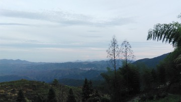1637294