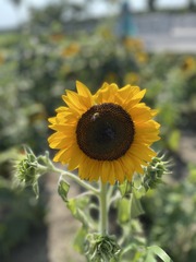 BB6557E1-6ADF-46B5-8EB6-45813307D782/L0/001