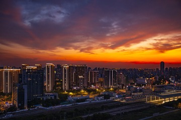 951323