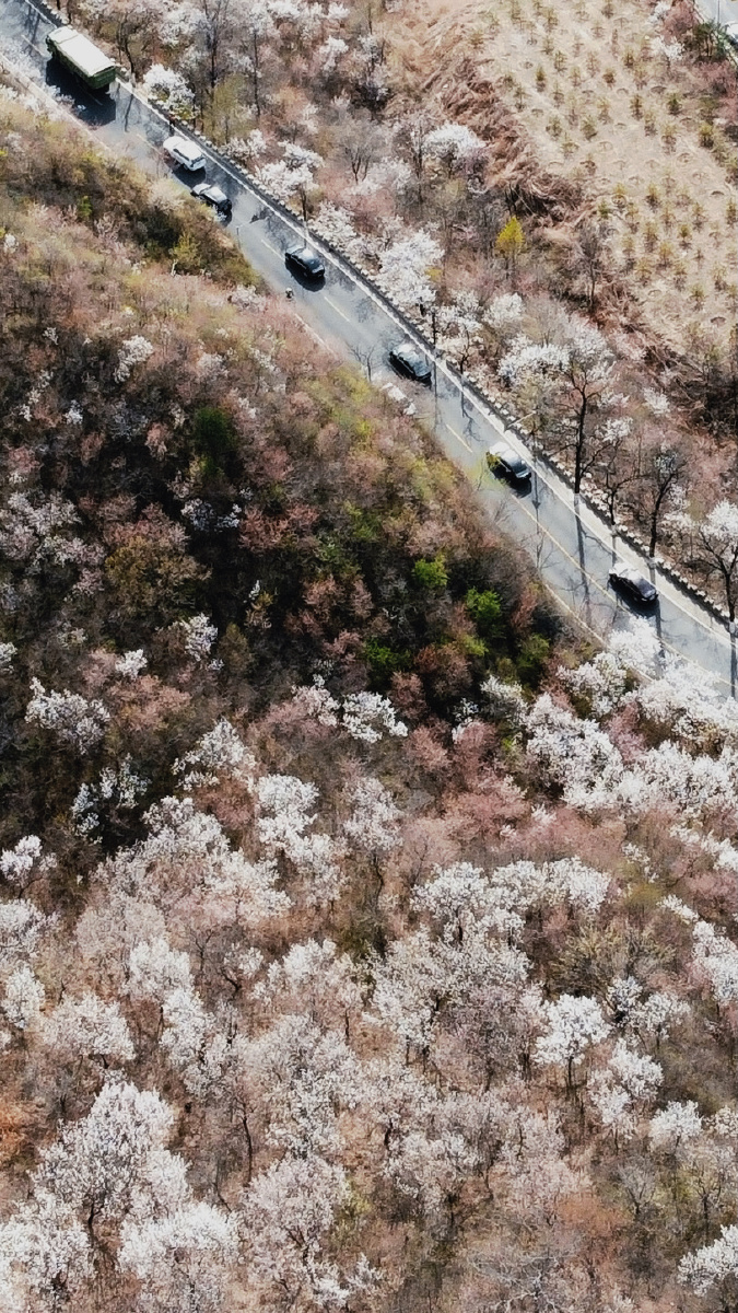 花海公路昌赤路