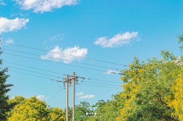 355920