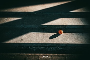 278361