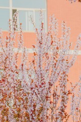 42B686A0-3107-4488-B8B5-C853E37E3C59/L0/001