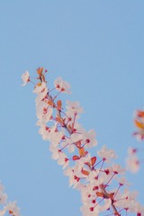 240034CF-D892-4959-A657-C6E66E0A2122/L0/001