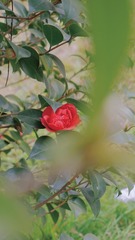 2B5C33FA-41A3-41C9-BD84-449F8DB315C2/L0/001