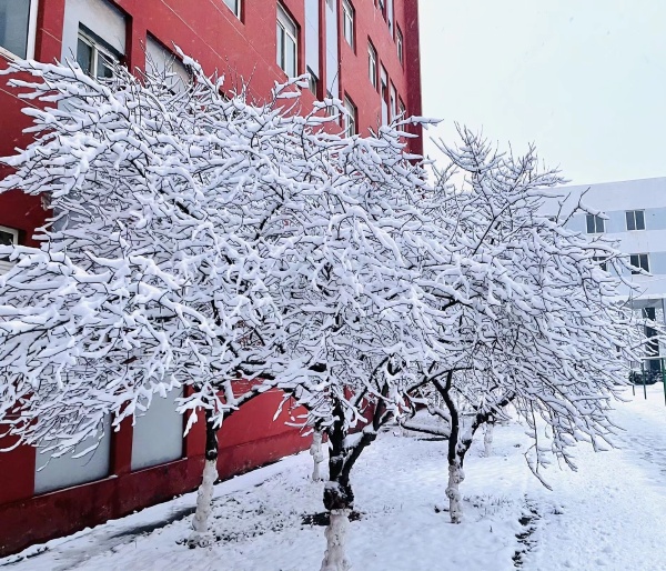 春上百花冬观雪 行亦念卿梦亦念卿 屁大点事之分享者