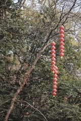B6B00B1B-8D3B-4F06-8B37-206902CA8C50/L0/001