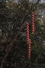 84E253E8-8E48-4494-85EE-D2929AD6EA92/L0/001