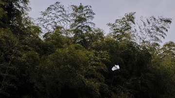 A25C3D43-81CF-485E-AA71-1814E2EDE9D6/L0/001