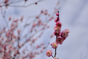E63AE207-72F3-47C0-BE17-9AD11189B285/L0/001