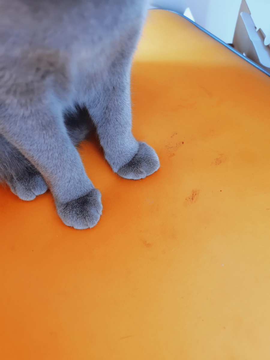 秀秀我的小jiojio07