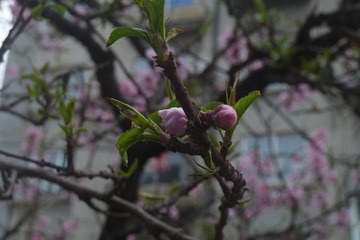 140313