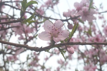 140326