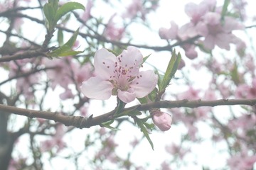 140325