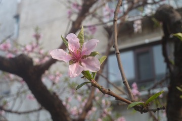 140341