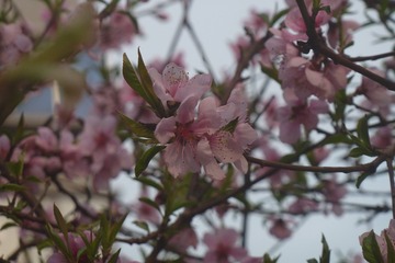 140334
