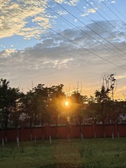 1000047688