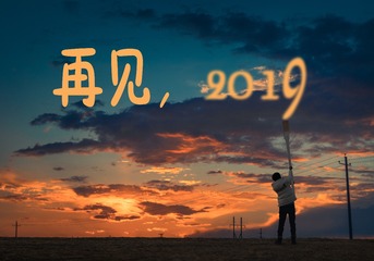 3062529
