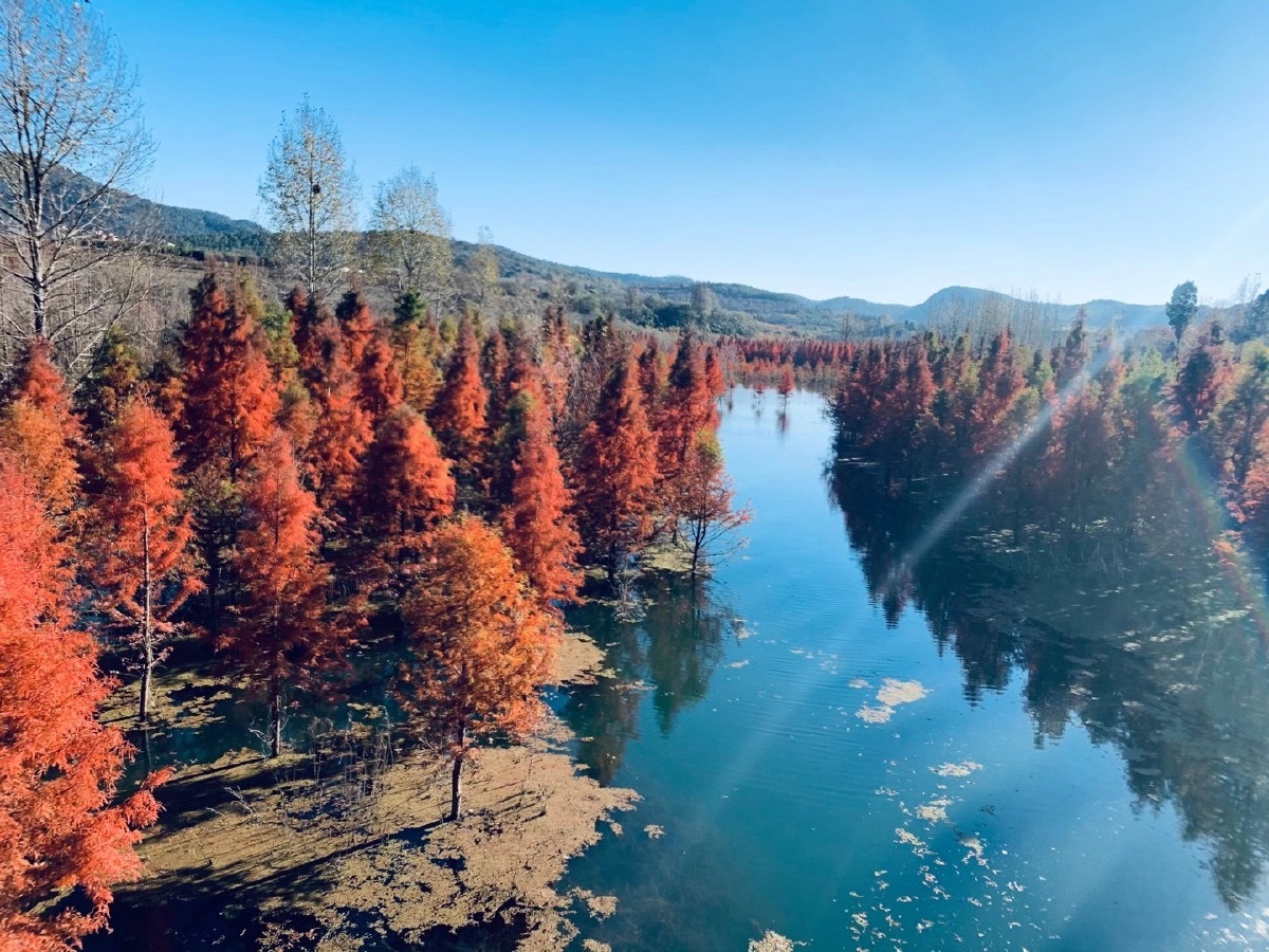 风景美如画#网红地,甸尾桥 - 蓝色311 - 图虫