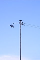 A18C3AD7-54CF-4C78-901C-2540AA38DB1B/L0/001