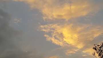 344