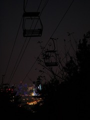 3930862
