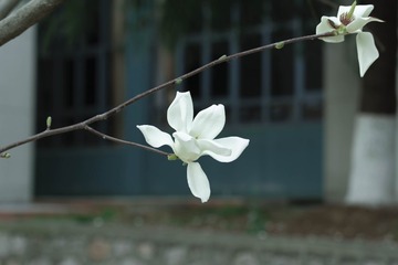 F730285E-F820-4FF9-B038-C8116973D179/L0/001
