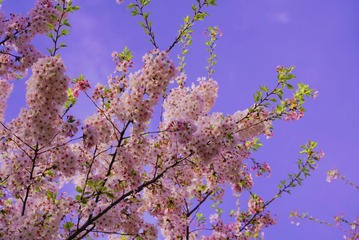 9A85E3AB-5C87-4763-B301-AC83C2EBDE6E/L0/001