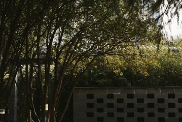 34787892-DF0F-4DDD-A061-085900773B93/L0/001