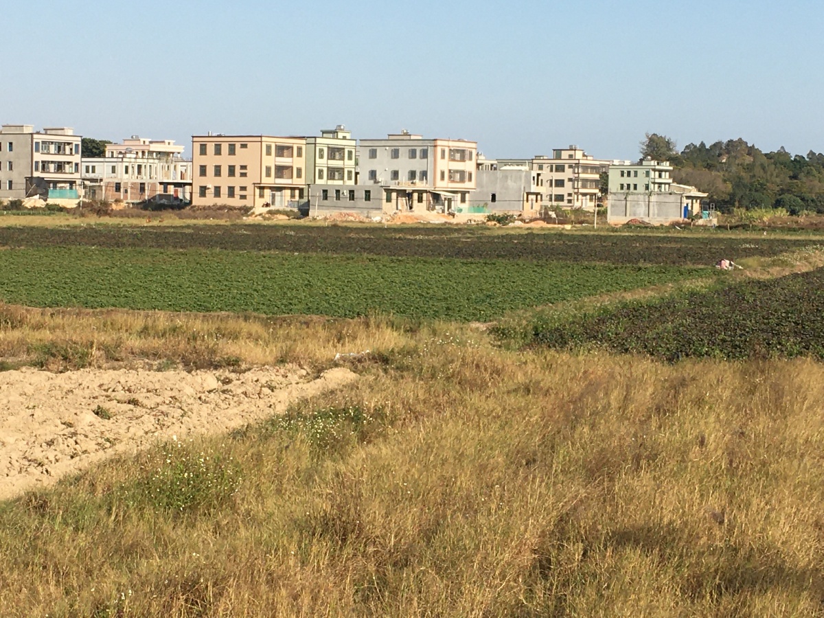 粤东陆丰甲东镇奎隆村鱼米之乡