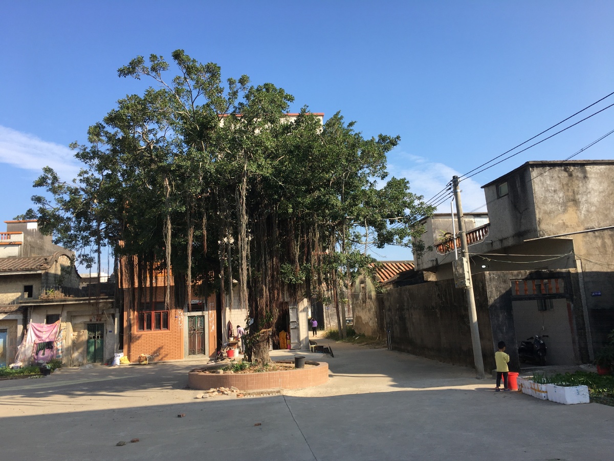 粤东惠来西溪镇山陇村口