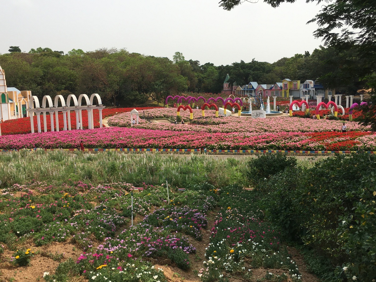 东莞梦幻百花园