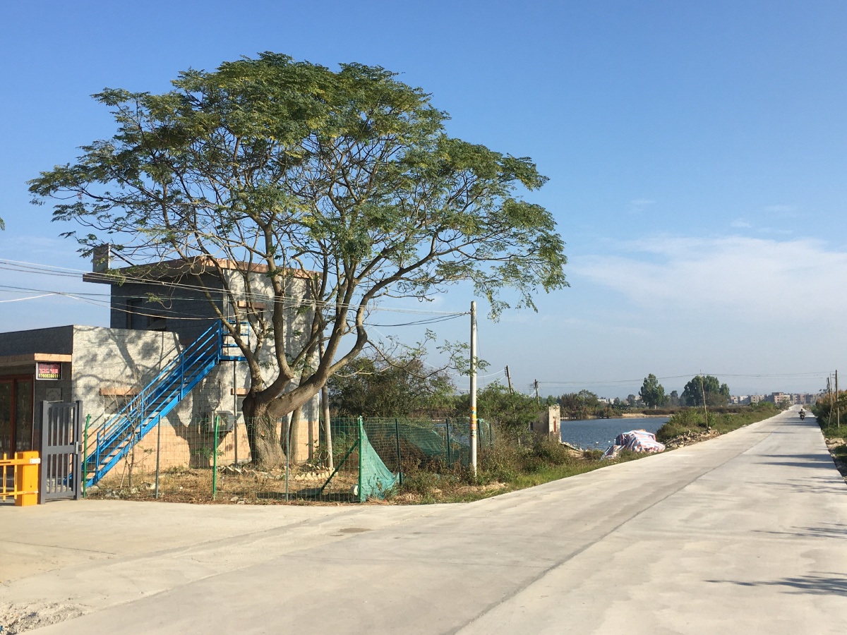 粤东惠来西溪镇山陇村田园风光.