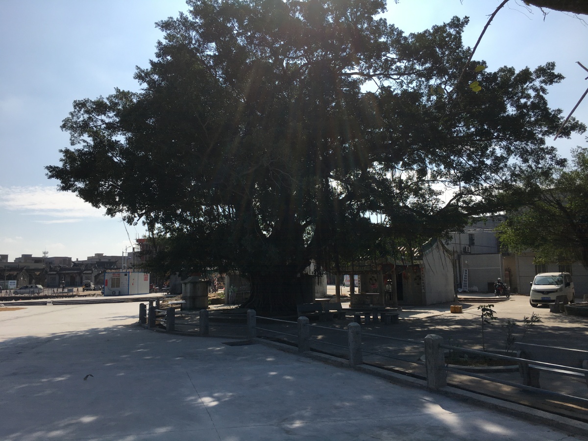 粤东惠来县西溪镇山陇村口