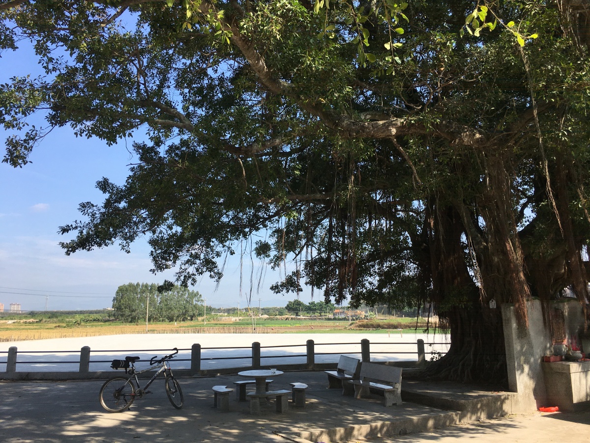 粤东惠来县西溪镇山陇村口