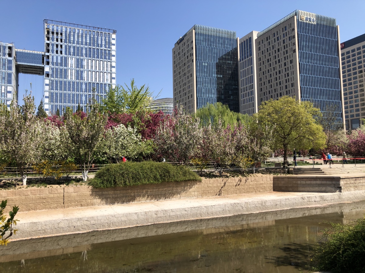 北京北土城元大都桃花盛开